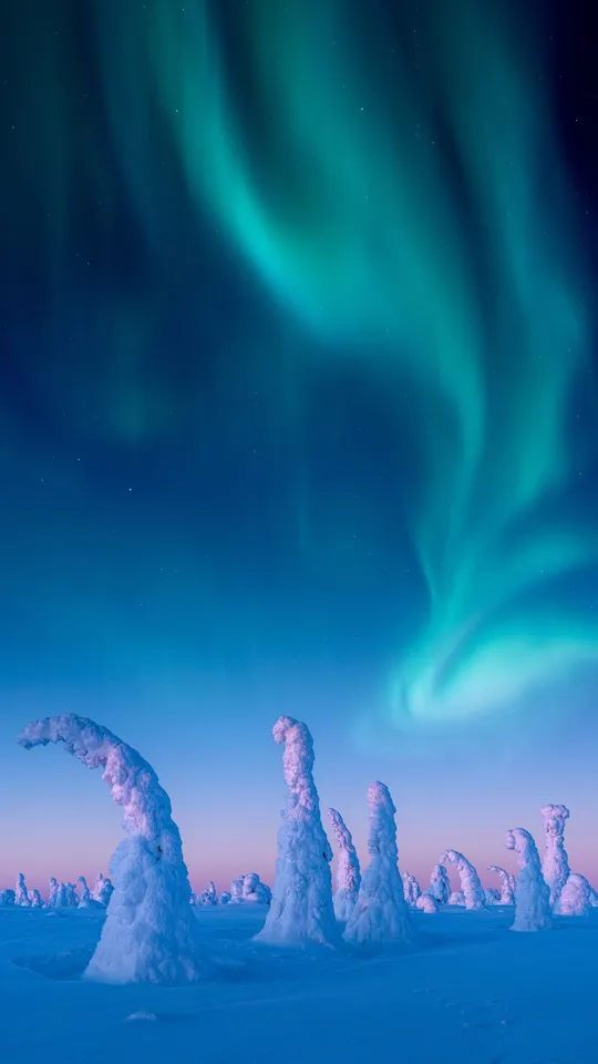 Alberi innevati sotto l'aurora boreale